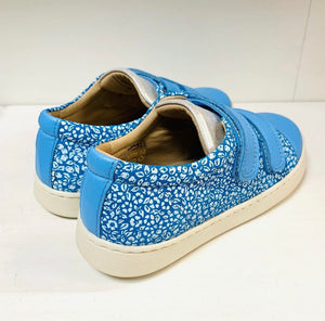 Petasil D12 Blue Shoes